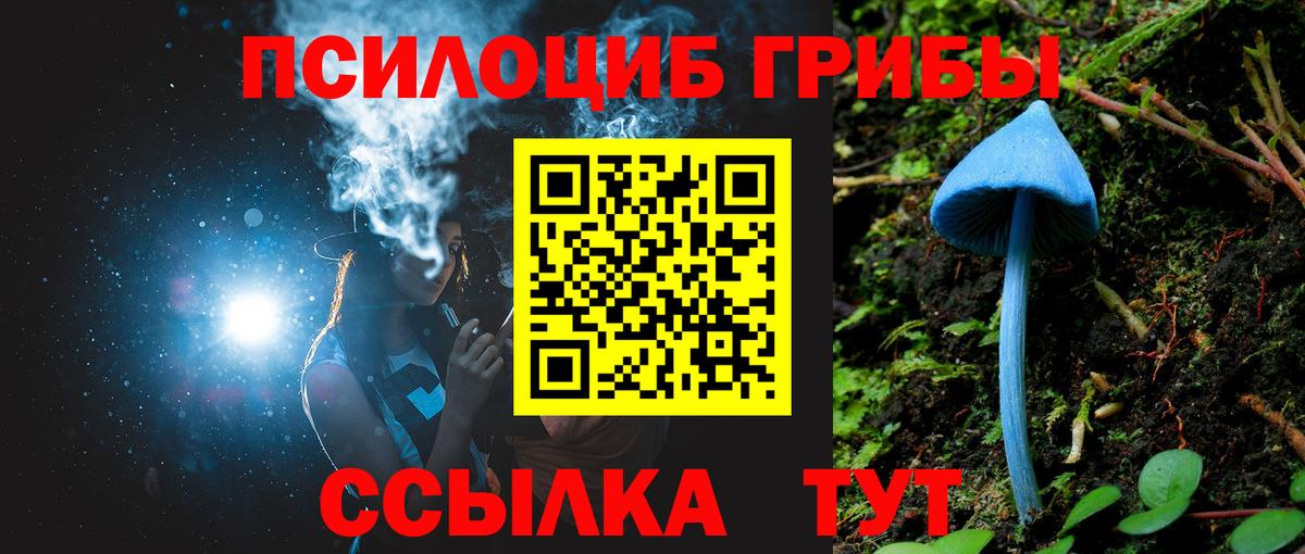 Галлюциногенные грибы прущие грибы  Галлюциногенные грибы GOLDEN TEACHER  Кашира  Вход с VPN 